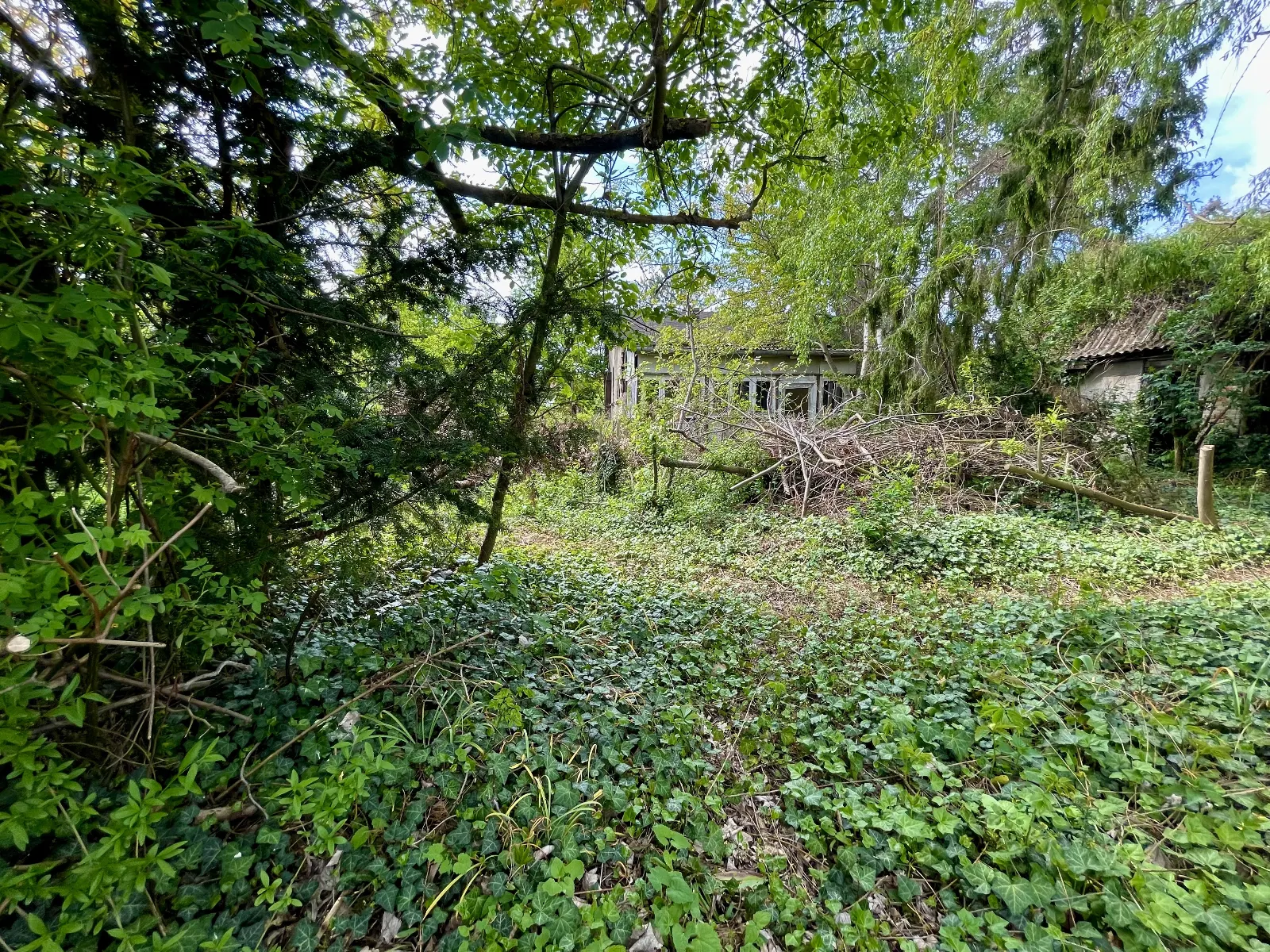 Traumhaftes Baugrundstück in absolut ruhiger und grüner Lage von Berlin – Bild 4