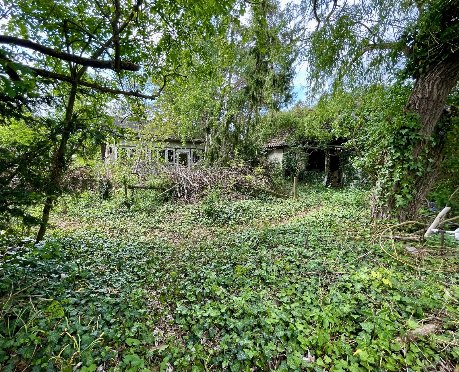 Teilbares Baugrundstück in absolut ruhiger und grüner Lage von Berlin – Bild 3