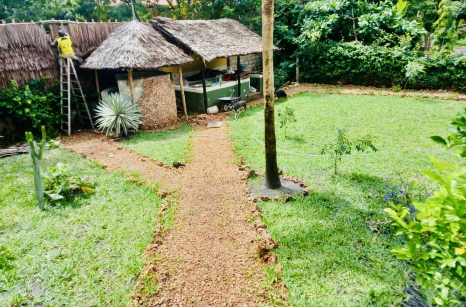 Traumhaftes Haus auf einem großen Grundstück in Kenia am Diani Beach – Bild 5