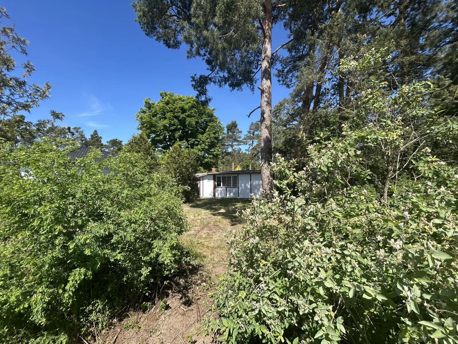 Idyllisches Baugrundstück am Mellensee! Ein Paradies für Naturliebhaber und Erholungssuchende – Bild 3