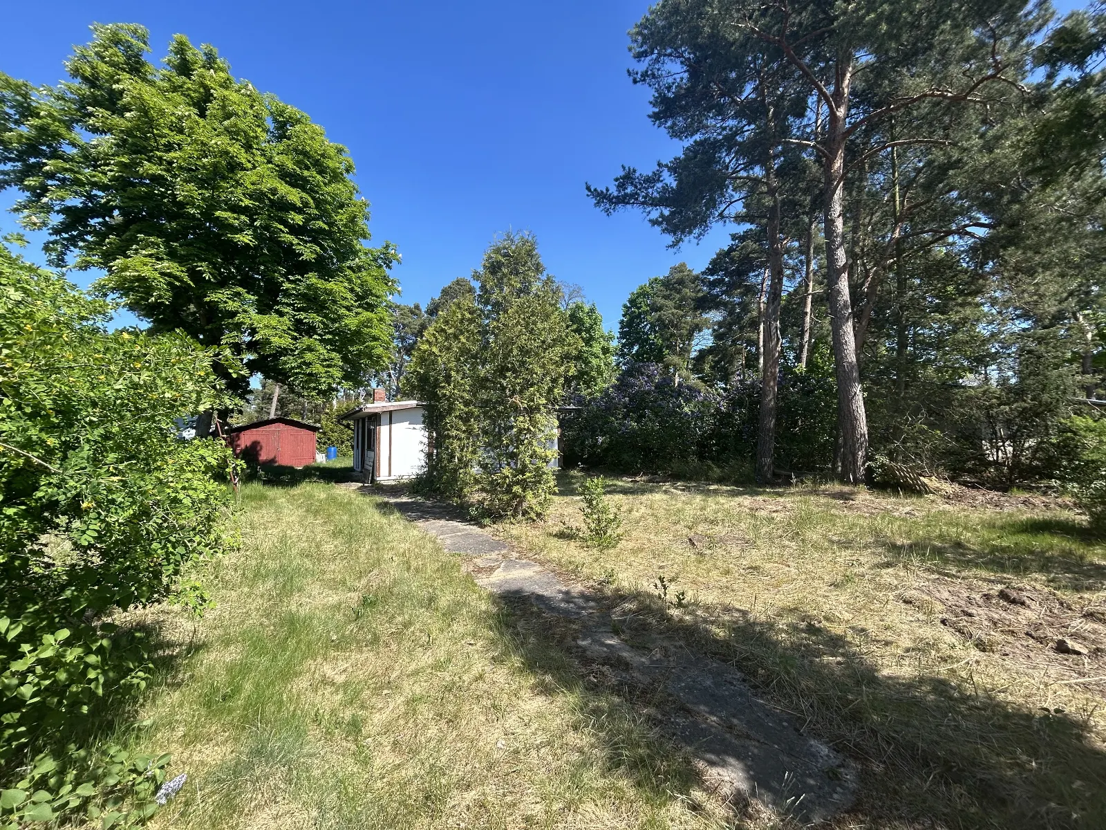 Idyllisches Baugrundstück am Mellensee! Ein Paradies für Naturliebhaber und Erholungssuchende – Bild 4