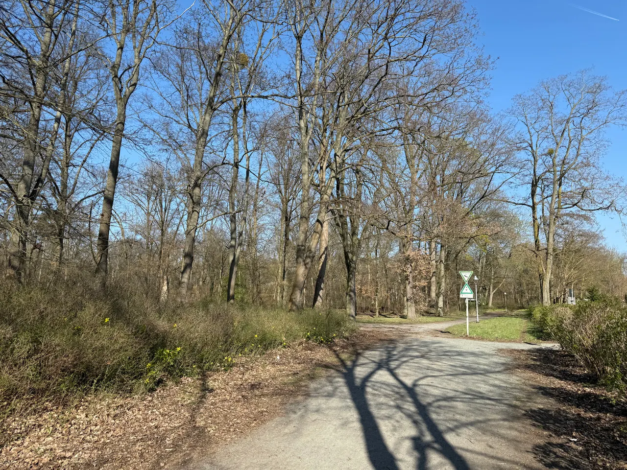 3-Zimmerwohnung am Heinrich-Laehr-Park in Berlin-Zehlendorf – Bild 3