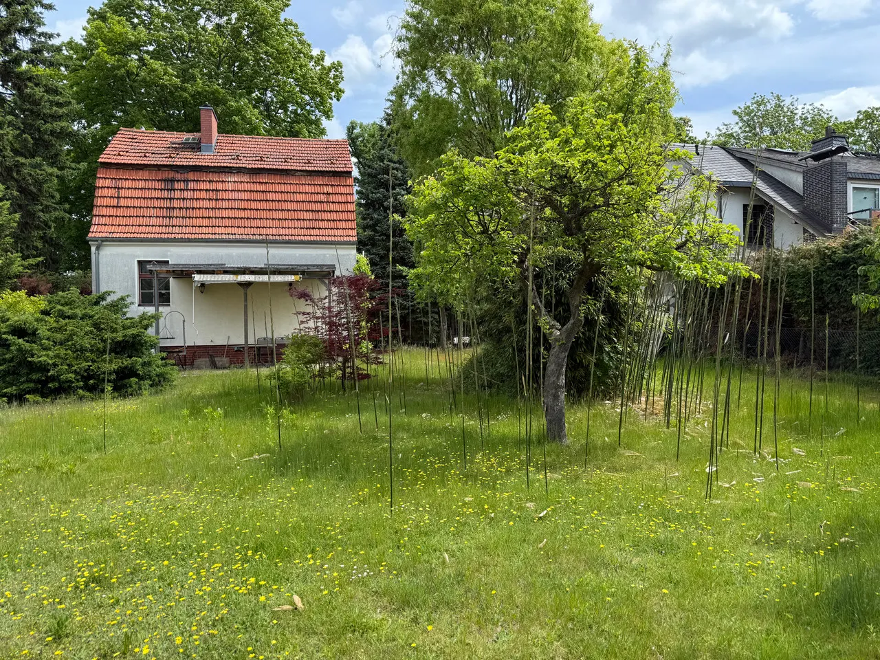Mehrfamilienhaus oder Einfamilienhaus! Baugrunstück in ruhiger Lage von Lichtenrade – Bild 3