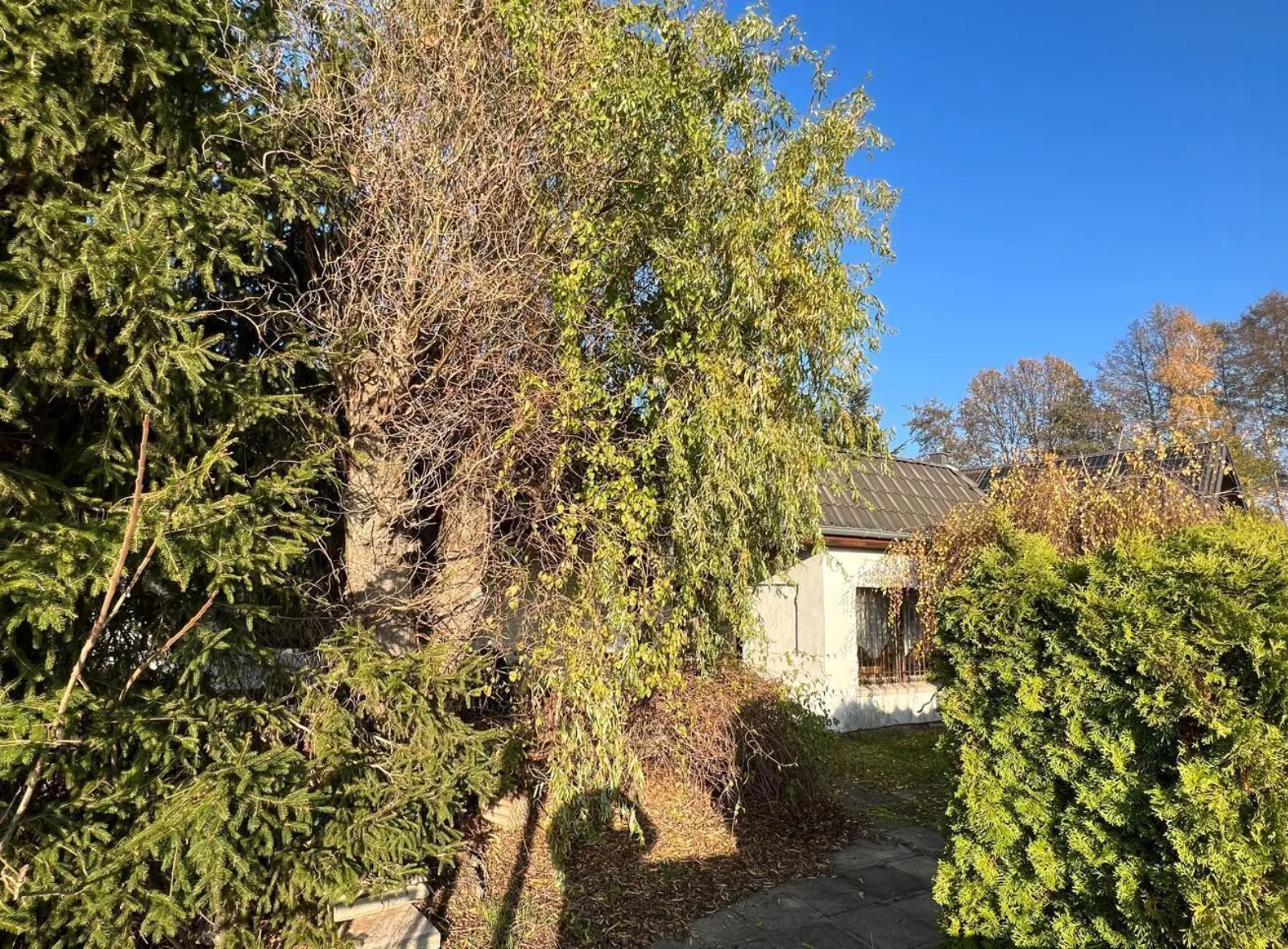 Bungalow mit viel Potenzial in Falkensee in ruhiger Lage – Bild 3